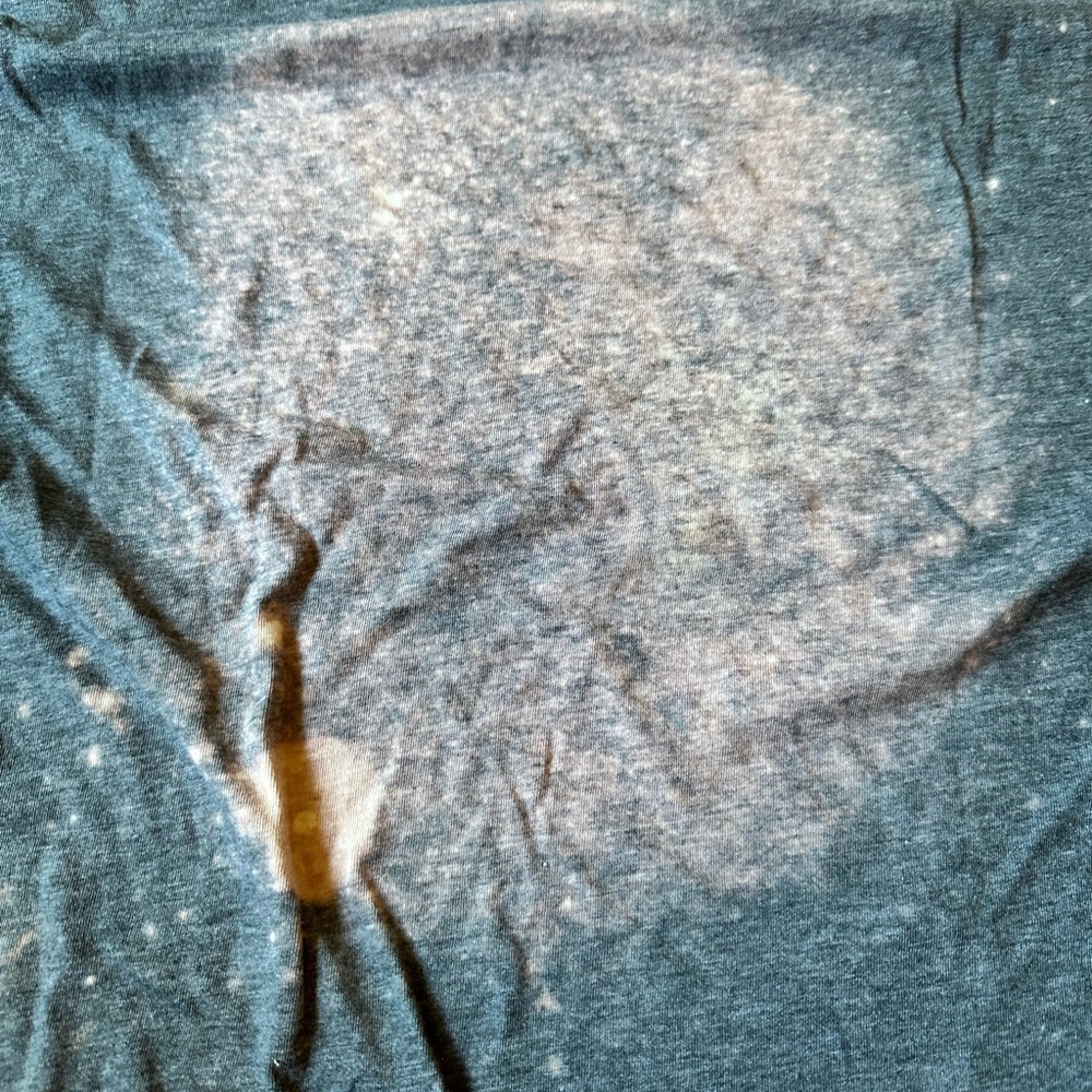 NWOT Tultex Dark Gray Graphic Tee with Edgar Allen Poe - Picture 4 of 5